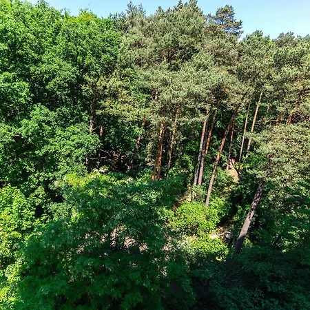 By The Woods Sopot